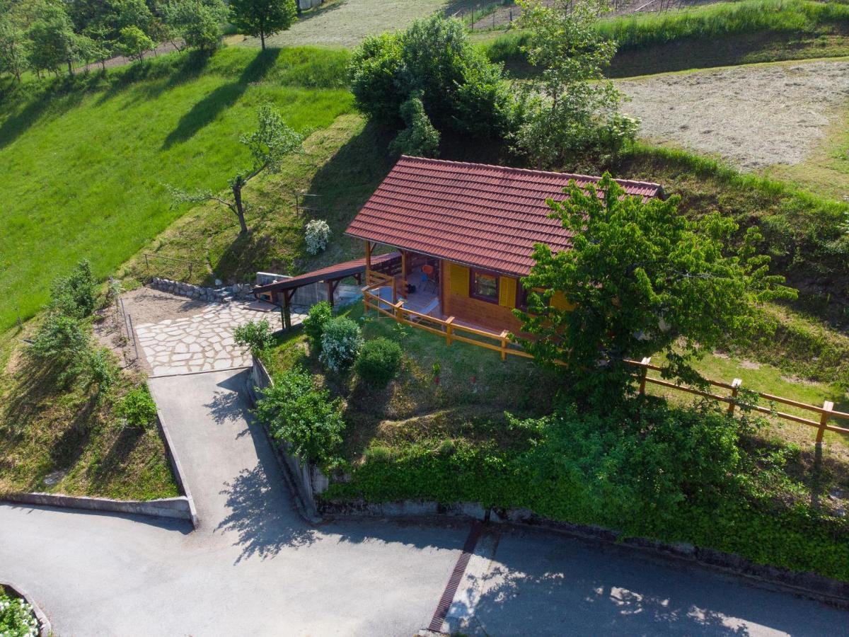 Villa Bomas House à Cerkno Extérieur photo